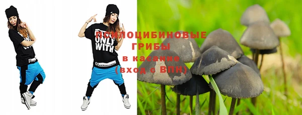 крисы Заводоуковск